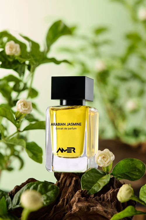 Arabian Jasmine